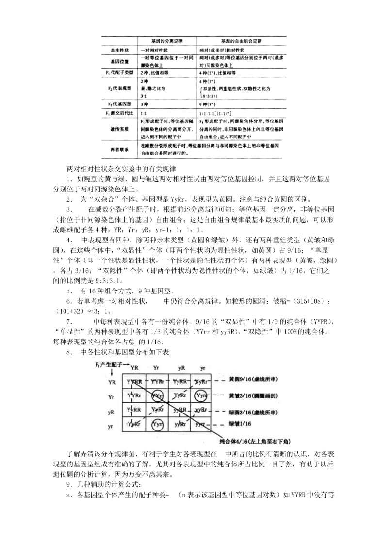 2019-2020年高一生物基因的自由组合定律教案 人教版.doc_第2页