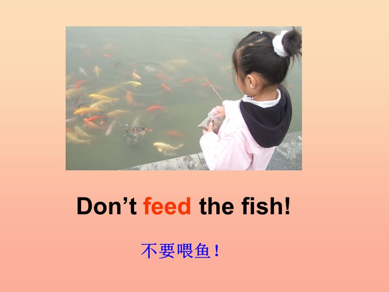 2019春四年级英语下册 Module 1 Unit 2《Don’t feed the fish》课件2 （新版）外研版.ppt_第3页