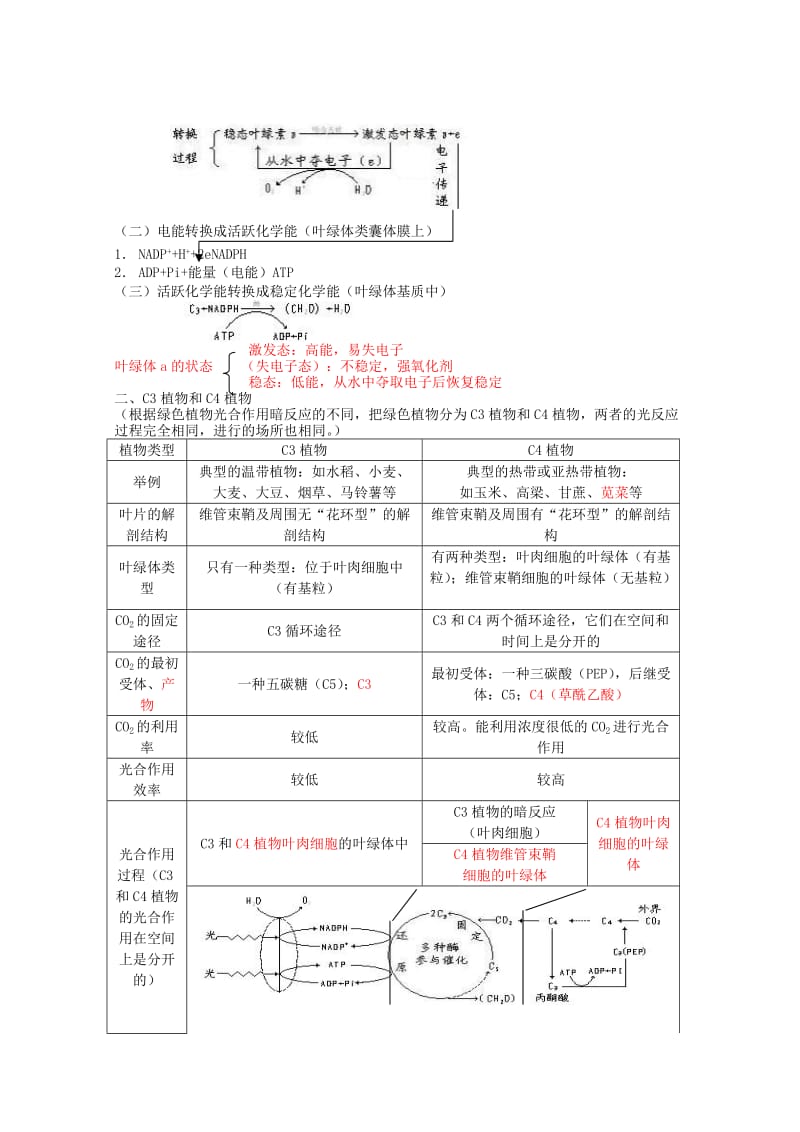 2019-2020年高三生物第一轮复习 2、光合作用与生物固氮1、光合作用教案 新人教版选修.doc_第2页