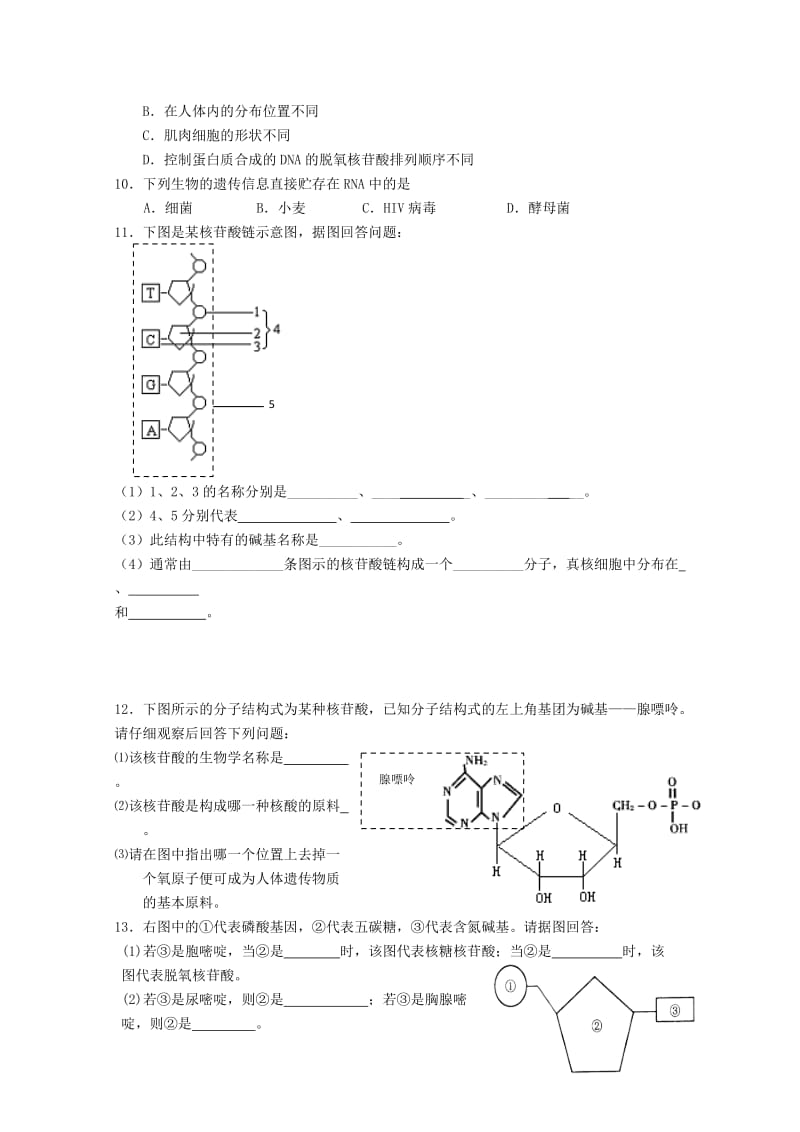 2019-2020年高中生物 2.3 遗传信息的携带者核酸导学案 新人教版必修1.doc_第3页