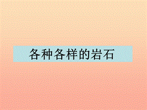 四年級科學下冊 4 巖石和礦物 1 各種各樣的巖石課件5 教科版.ppt