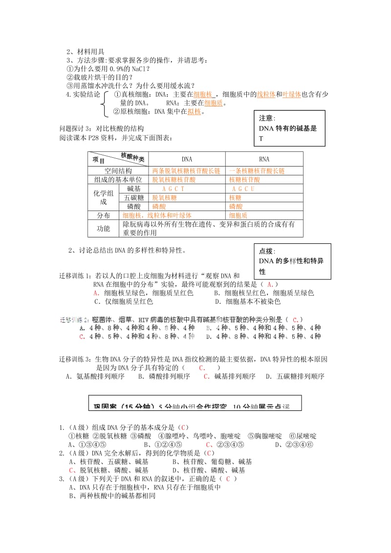 2019-2020年高中生物 第二章第三节 遗传信息的携带者 核酸教学案 新人教版必修1.doc_第2页