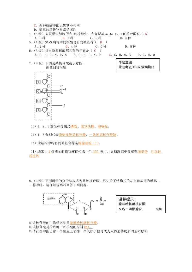 2019-2020年高中生物 第二章第三节 遗传信息的携带者 核酸教学案 新人教版必修1.doc_第3页