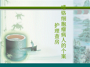 嗜鉻細(xì)胞瘤的個(gè)案護(hù)理查房ppt課件