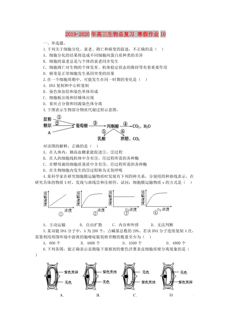 2019-2020年高三生物总复习 寒假作业10.doc_第1页