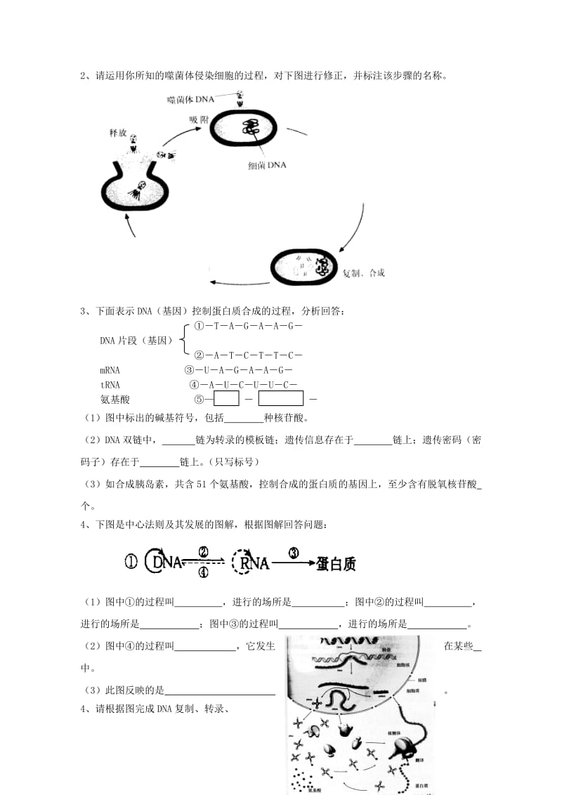 2019-2020年高中生物 第二册 第6章 遗传信息的传递和表达测试（1）沪科版.doc_第3页