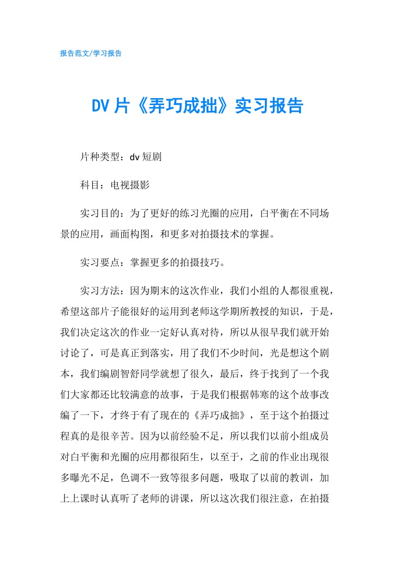 DV片《弄巧成拙》实习报告.doc_第1页