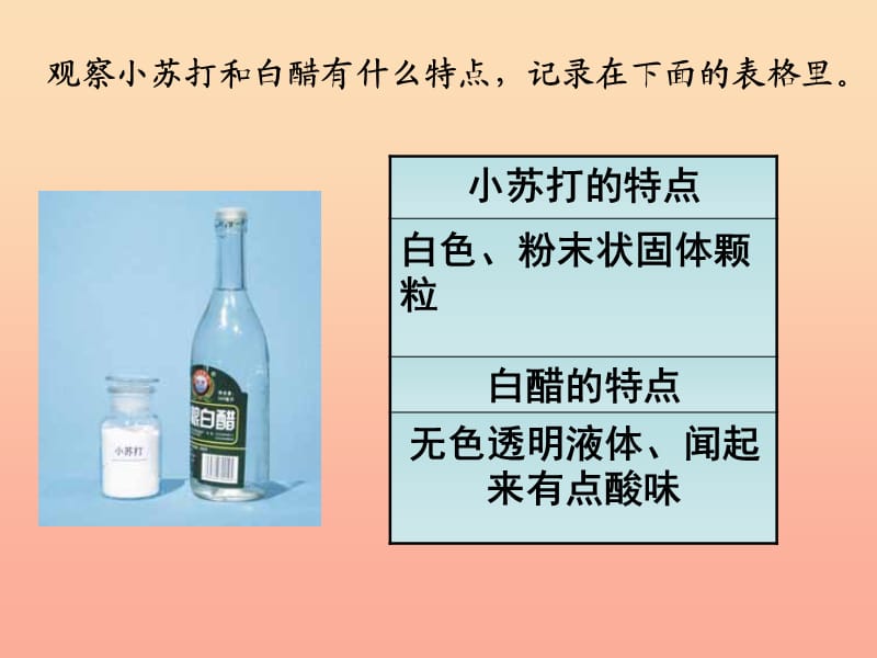 六年级科学下册 第二单元 物质的变化 4小苏打和白醋的变化课件1 教科版.ppt_第2页