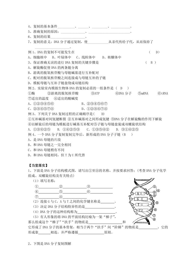 2019-2020年高中生物《DNA的复制》教案6 新人教版必修2.doc_第3页