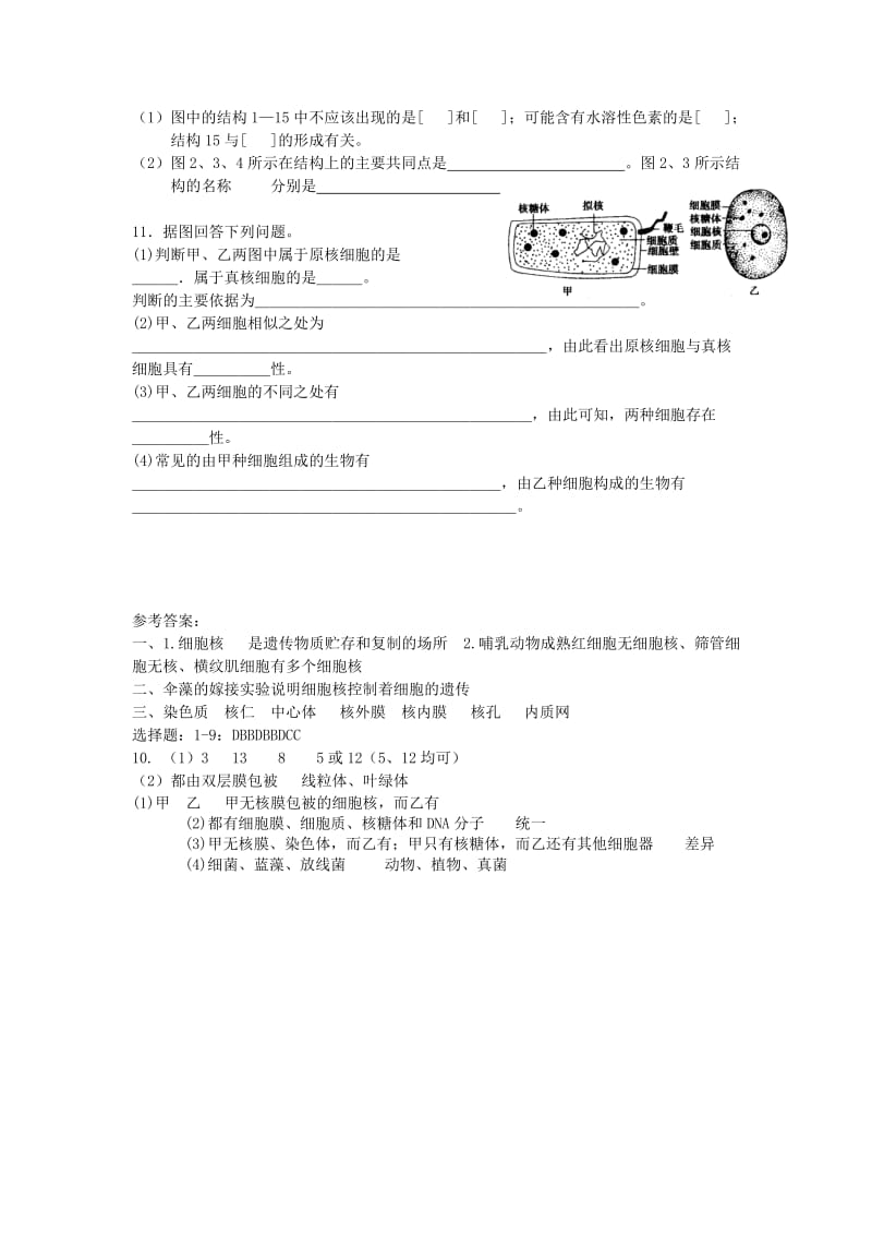 2019-2020年高中生物《原核细胞》教案2 浙教版必修1.doc_第3页