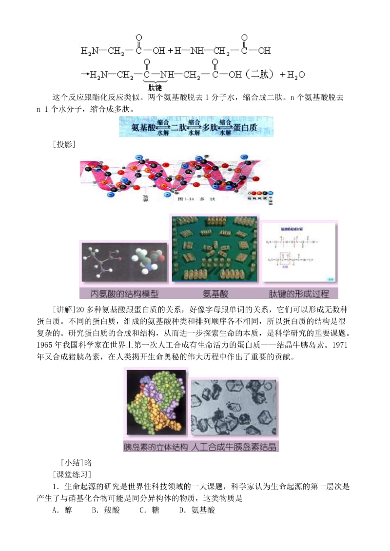 2019-2020年高中化学 第一章第三节 生命的基础—蛋白质教案（2） 新人教版选修1.doc_第3页