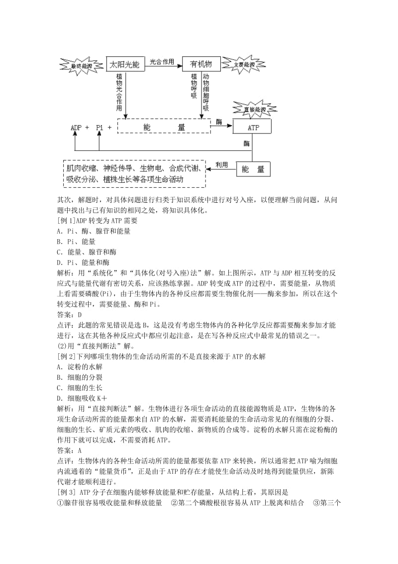 2019-2020年高三生物二轮复习 新陈代谢与ATP1教案 人教版.doc_第3页