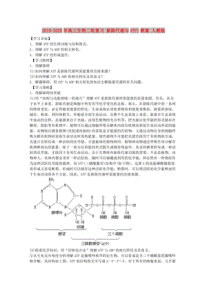 2019-2020年高三生物二輪復(fù)習(xí) 新陳代謝與ATP1教案 人教版.doc