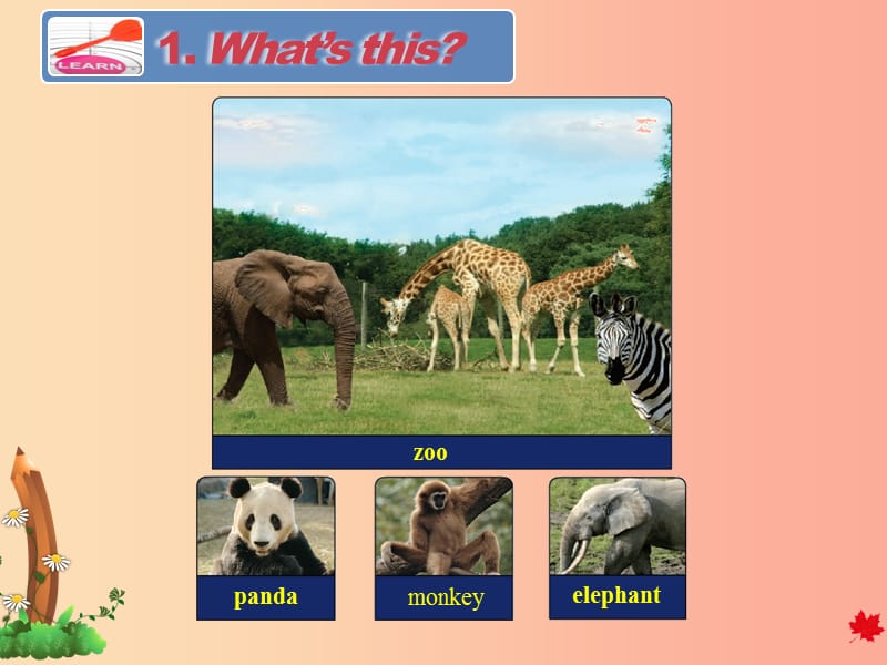 三年级英语下册Unit2AnimalsattheZooLesson7AttheZoo课件冀教版三起.ppt_第3页