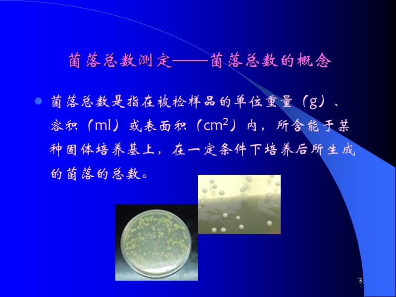 食品微生物检验方法ppt课件_第3页