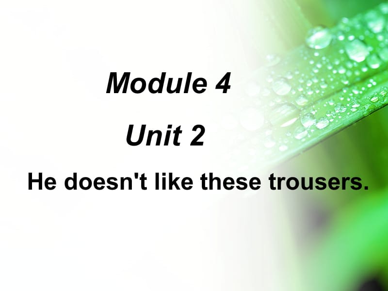 二年级英语上册 Module 4 Unit 2 He doesn’t like these trousers课件4 外研版.ppt_第1页