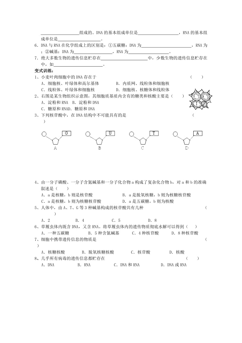 2019-2020年高中生物（板书设计+基础练习+变式训练） 2.3《遗传信息的携带者 核酸》教案 新人教版必修1.doc_第3页