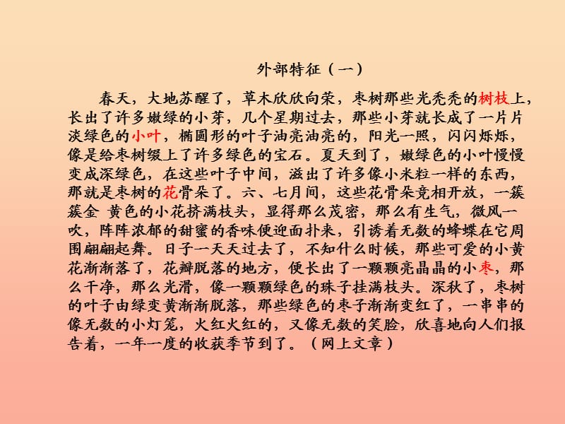 六年级语文上册 习作五 介绍家长的一种特产作文课件4 苏教版.ppt_第3页