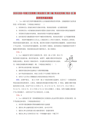 2019-2020年高三生物第一輪總復(fù)習(xí) 第一編 考點(diǎn)過(guò)關(guān)練 考點(diǎn)23 基因突變和基因重組.doc