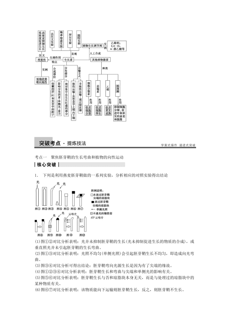 2019-2020年高三生物一轮复习 8.30植物的激素调节教学案 新人教版.doc_第3页