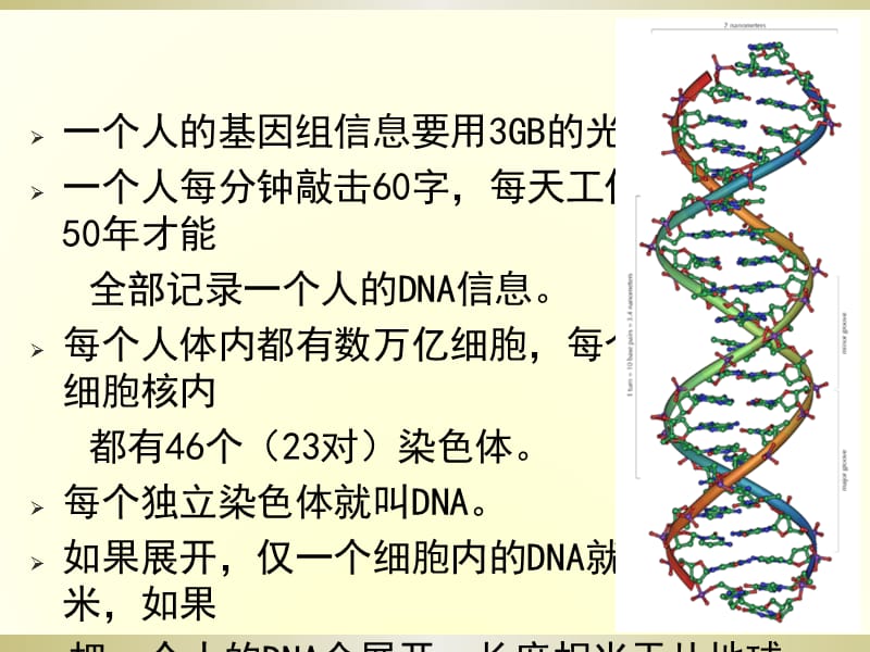 肿瘤与基因_第3页