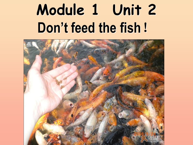 2019春四年级英语下册 Module 1 Unit 2《Don’t feed the fish》课件5 （新版）外研版.ppt_第1页