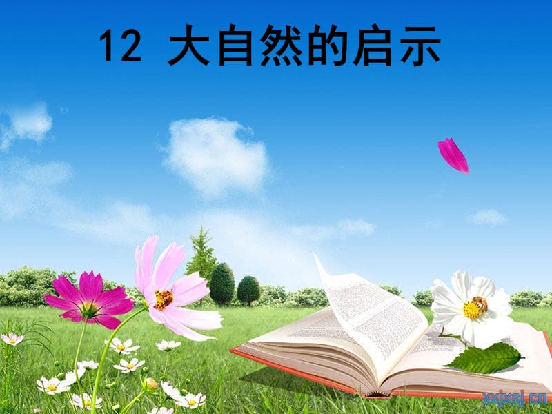 四年级语文下册 第三单元 12 大自然的启示课件4 新人教版.ppt_第1页