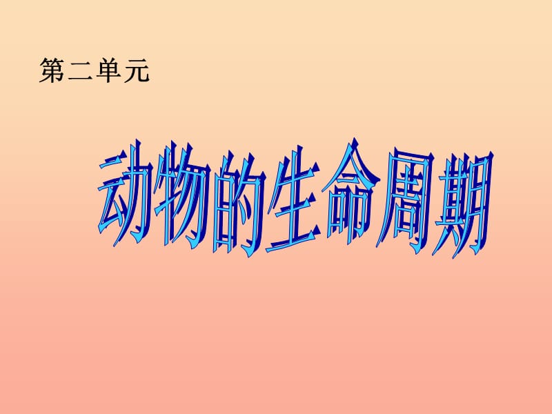 三年级科学下册动物的生命周期1蚕卵里孵出的新生命课件4教科版.ppt_第1页