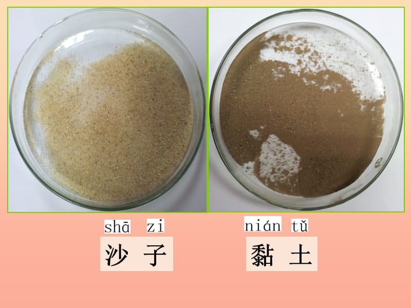 一年级科学下册 第一单元 石头与泥土 第3课《沙子与黏土》课件 苏教版.ppt_第2页