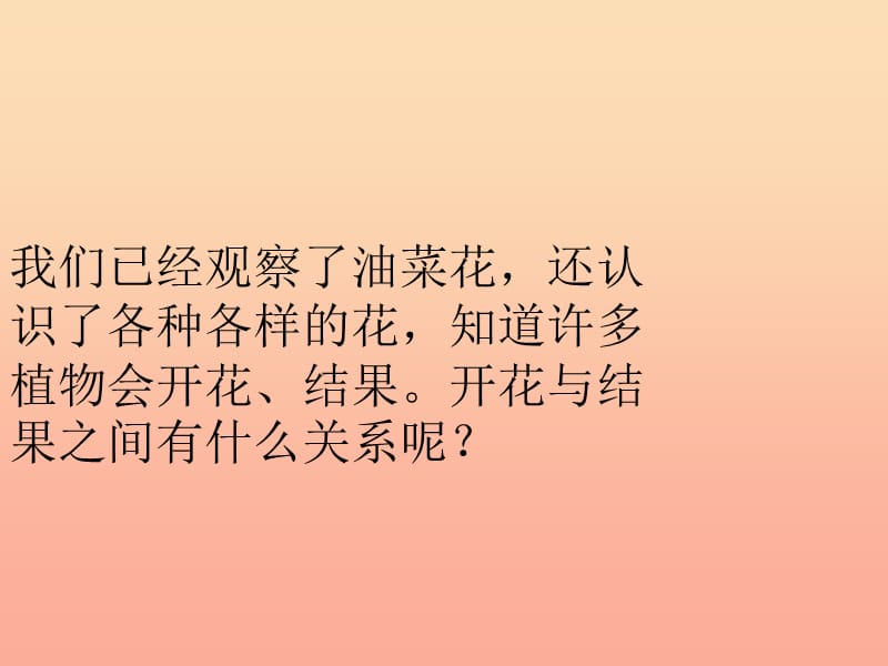 四年级科学下册 2 新的生命 3 花 果实和种子课件2 教科版.ppt_第2页