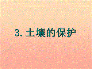 三年級科學(xué)上冊 3.3 土壤的保護(hù)課件3 湘教版.ppt