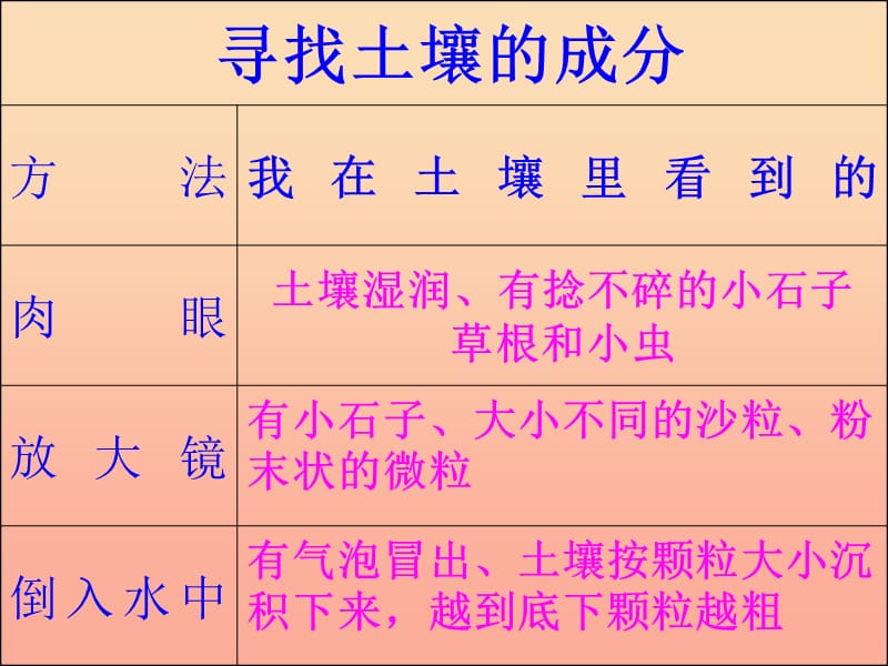 三年级科学下册三植物生活的土地第1课土壤里有什么课件新人教版.ppt_第2页