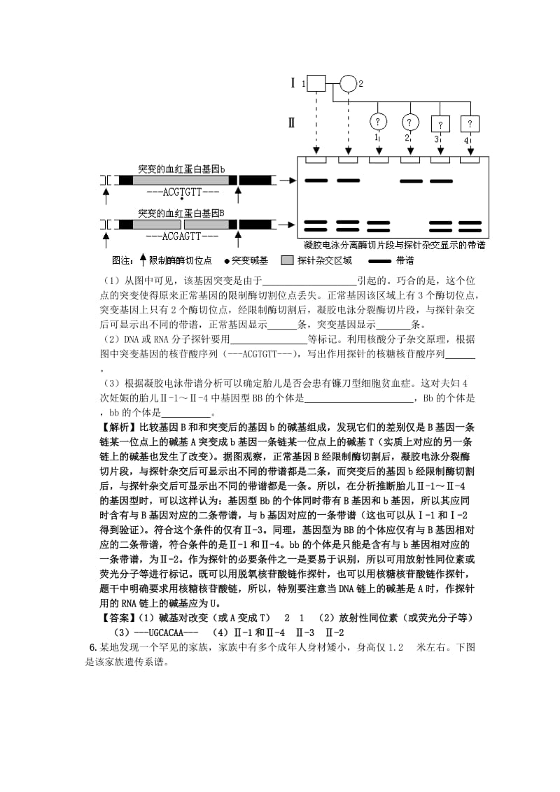 2019-2020年高中生物 考点解析与跟踪精练 人类遗传病与优生教案 人教版.doc_第2页