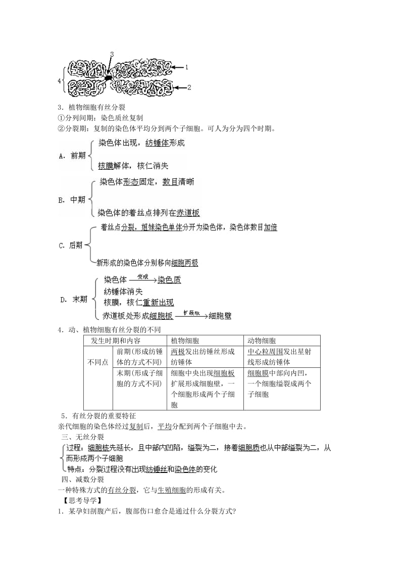 2019-2020年高三生物二轮复习 细胞增殖教案2 人教版.doc_第2页