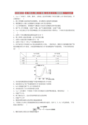 2019-2020年高三生物二輪復(fù)習(xí) 特色專項(xiàng)訓(xùn)練（二）細(xì)胞的代謝.doc