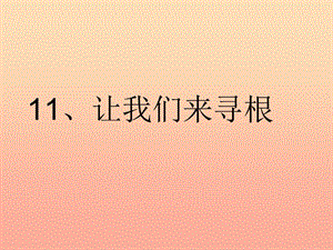 2019秋五年級品社上冊《讓我們尋根》課件3 蘇教版.ppt