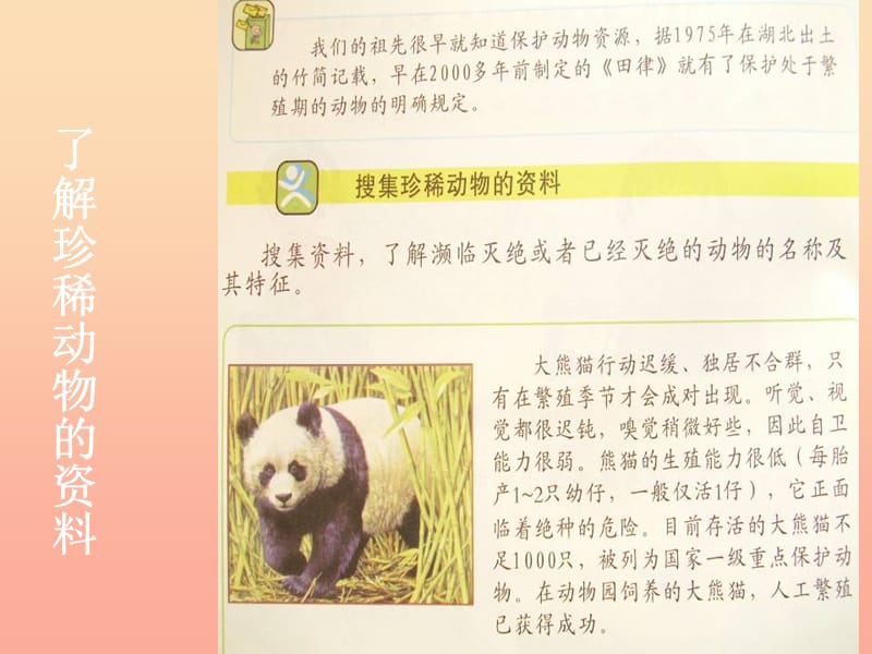 四年级科学上册 2.5 珍稀动物的保护课件2 湘教版.ppt_第2页