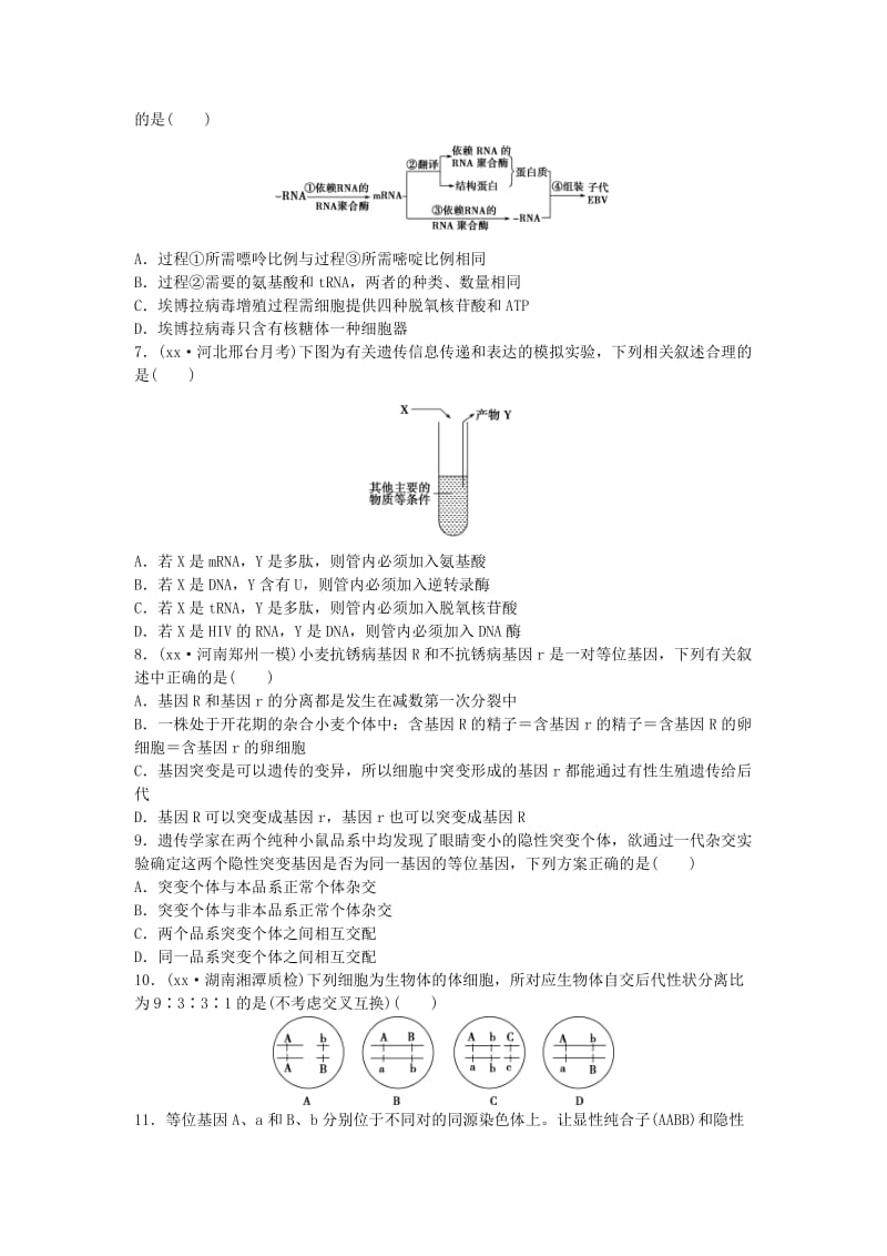 2019-2020年高三生物二轮复习 特色专项训练（四）遗传、变异和进化.doc_第2页