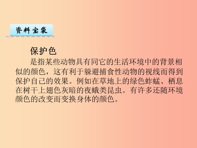 三年级语文上册 第八单元 24 雷鸟太太的时装（二）课件 鄂教版.ppt_第2页