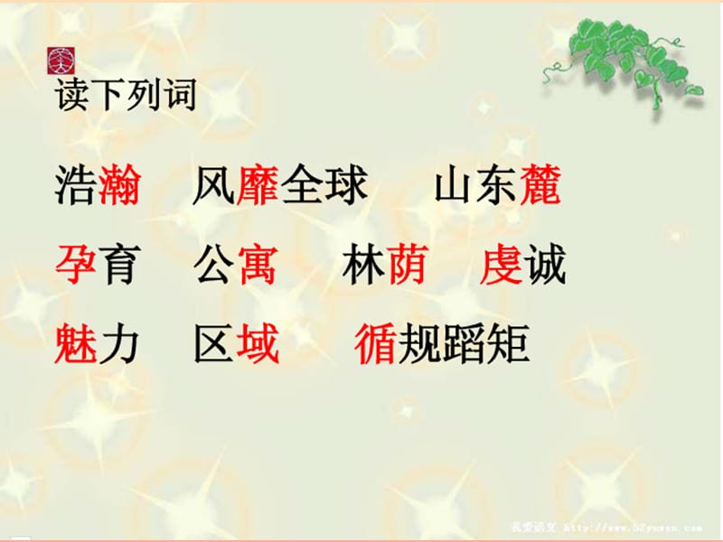 六年级语文上册《音乐之城 维也纳》课件2 长春版.ppt_第2页