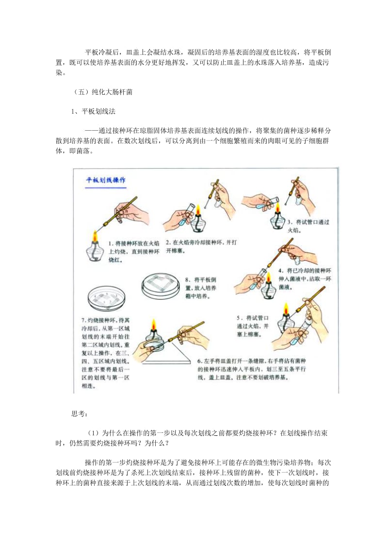 2019-2020年高中生物 1.1《微生物的培养与应用》教案（1） 苏教版选修1.doc_第3页