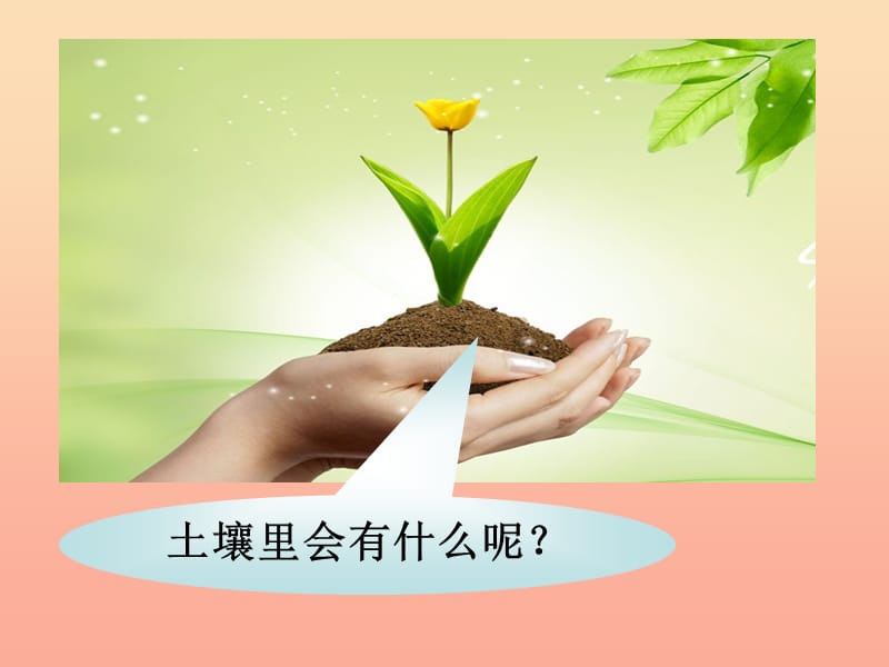 三年级科学下册 三 植物生活的土地 1《土壤里有什么》课件3 新人教版.ppt_第2页