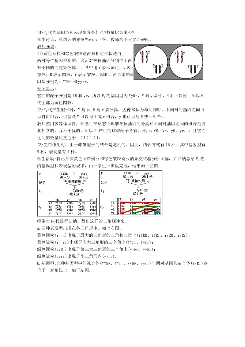 2019-2020年高中生物《1.1 孟德尔的豌豆杂交试验（二）》教学设计（1）新人教版必修2.doc_第3页