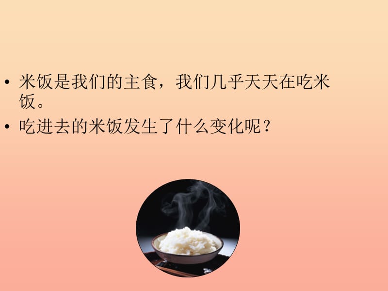 六年级科学下册 第二单元 物质的变化 3 米饭 淀粉和碘酒的变化课件 教科版.ppt_第2页