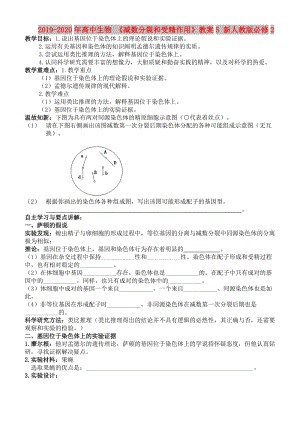 2019-2020年高中生物 《減數(shù)分裂和受精作用》教案5 新人教版必修2.doc