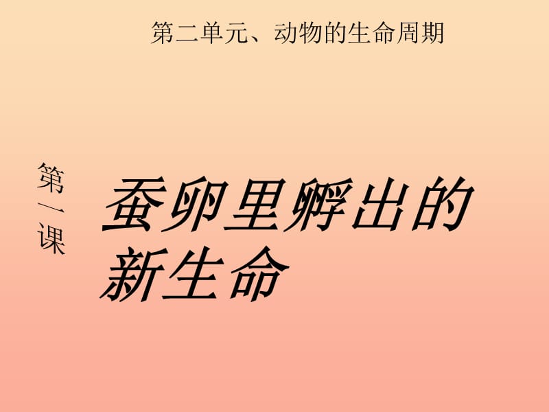 三年级科学下册 动物的生命周期 1《蚕卵里孵出的新生命》课件3 教科版.ppt_第1页