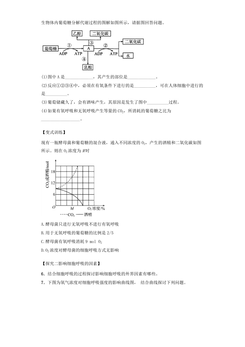 2019-2020年高中生物 课时19 无氧呼吸和细胞呼吸原理的应用导学案 新人教版必修1.doc_第3页