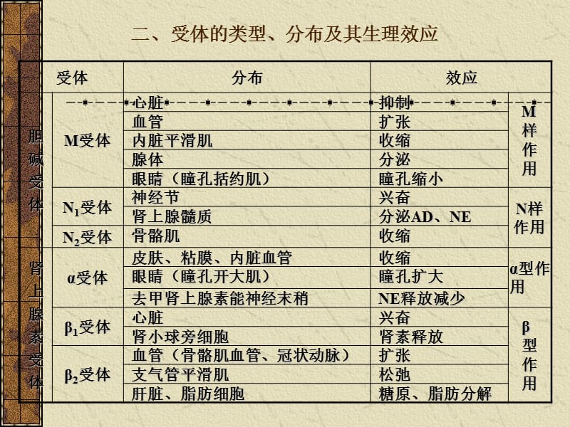 作用于传出神经系统药物_第3页