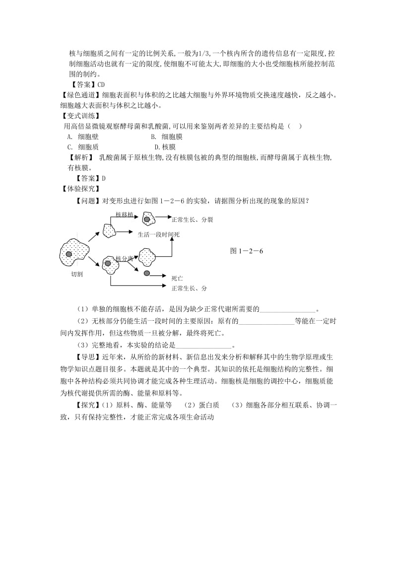 2019-2020年高中生物 第三节 真核细胞与原核细胞名师导航 中图版.doc_第3页