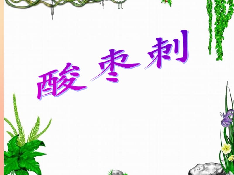 二年级音乐上册 第11课 酸枣刺课件1 花城版.ppt_第1页